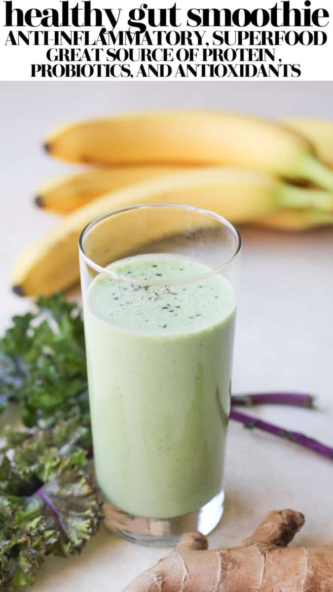 Low Fodmap Smoothie for Gut Health