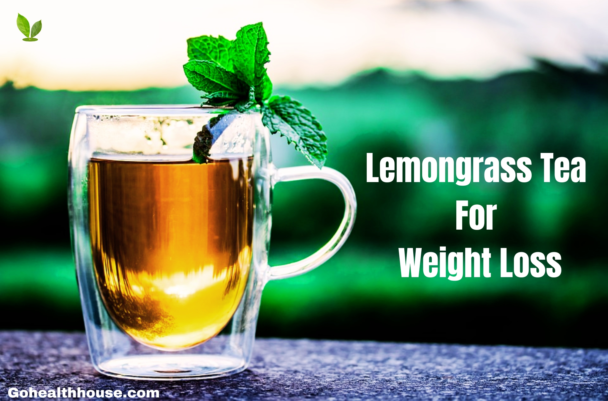 How To Make lemongrass Tea For Weight Loss